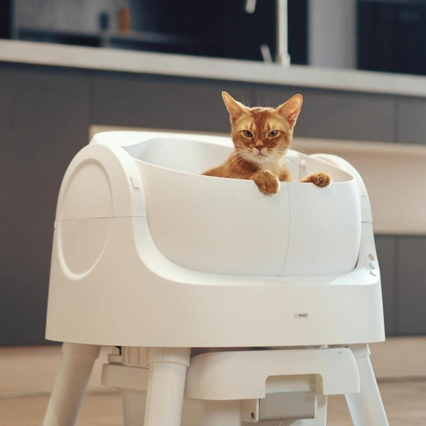 PetPivot AutoScooper Box